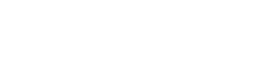 ARVI Studio